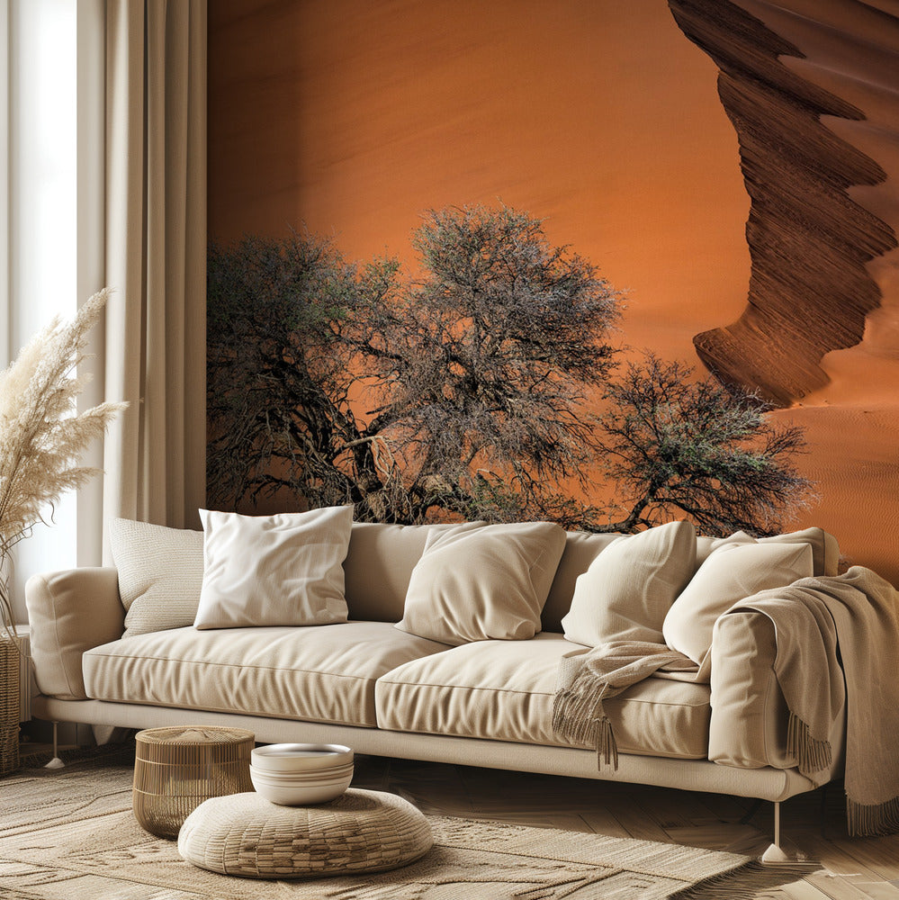 Akaasia aavikolla | Valokuvatapetit