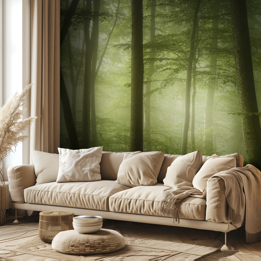 Salaperäinen kevätaamu | Valokuvatapetit