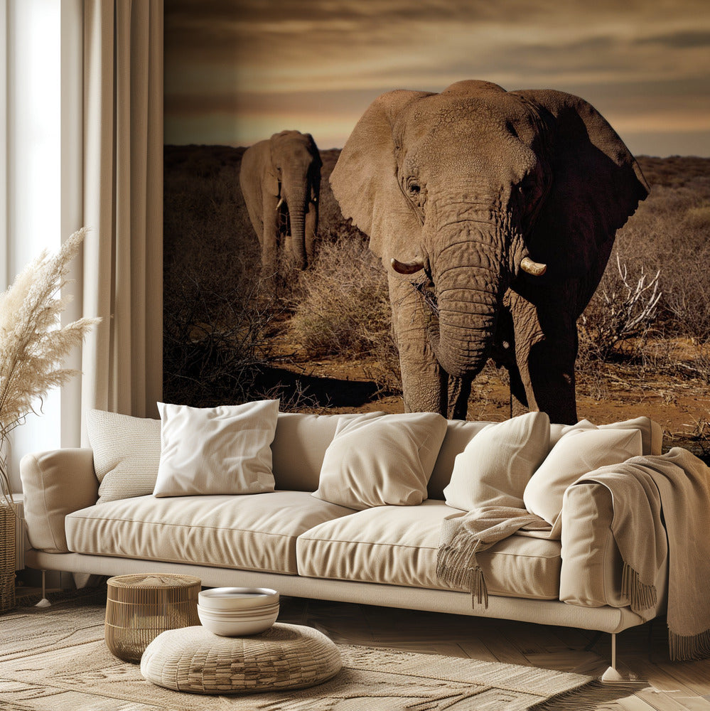 Iso | Valokuvatapetit