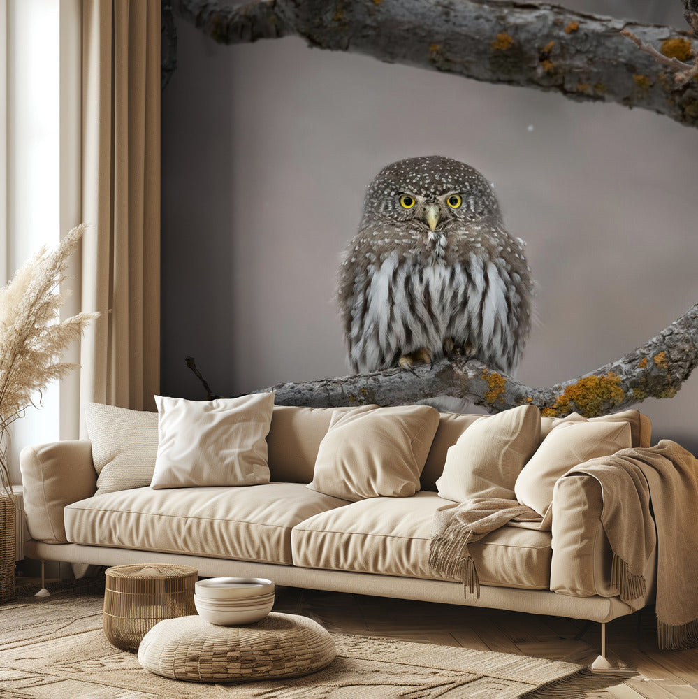 Pikkumies lumessa | Valokuvatapetit