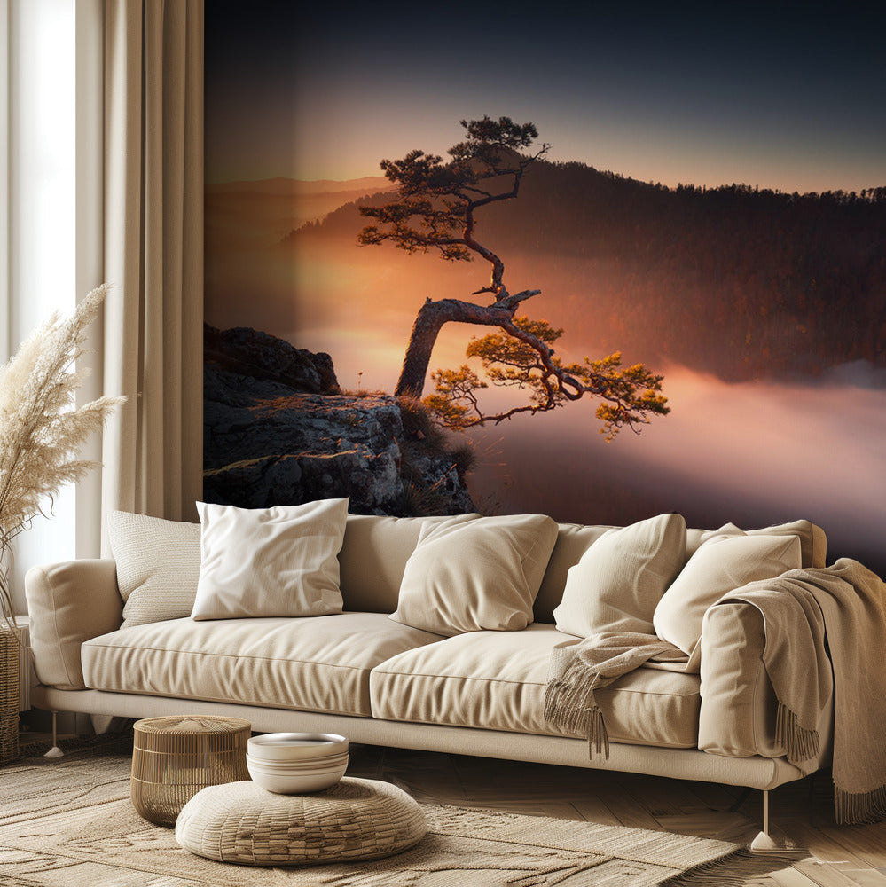 Sokolica | Valokuvatapetit