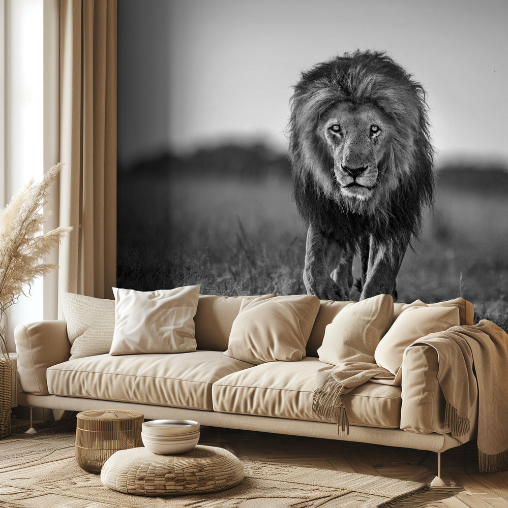 Vanha poika | Valokuvatapetit