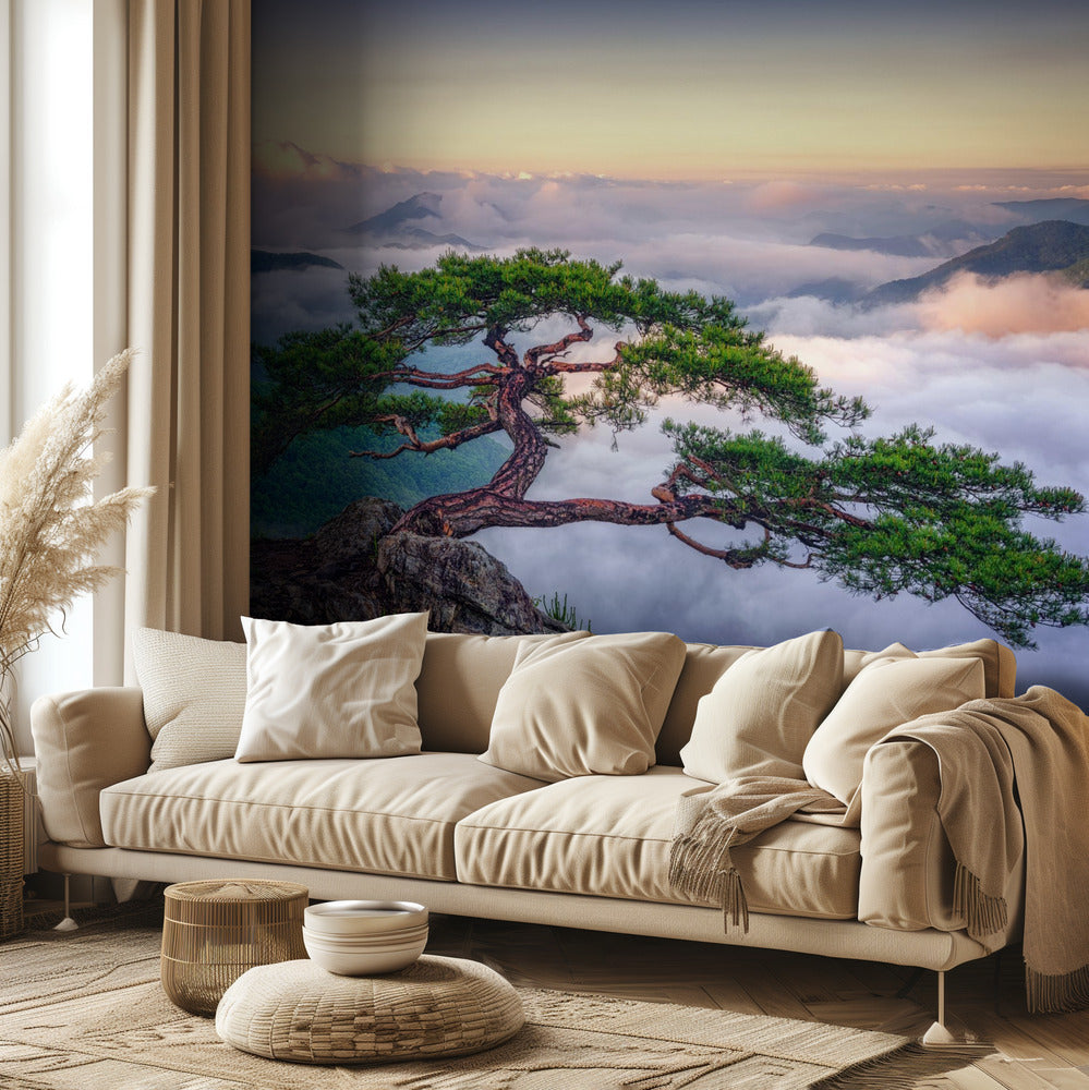 Kalliolla | Valokuvatapetit