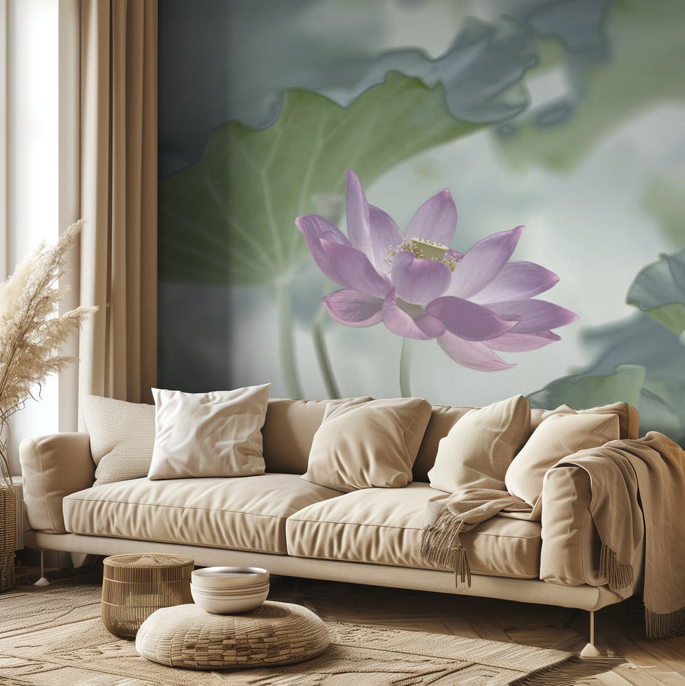 Lotus | Fototapeten