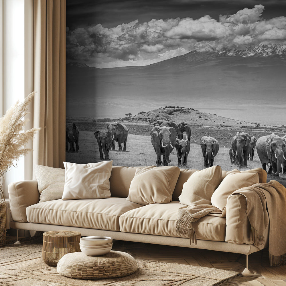 Titaanit | Valokuvatapetit