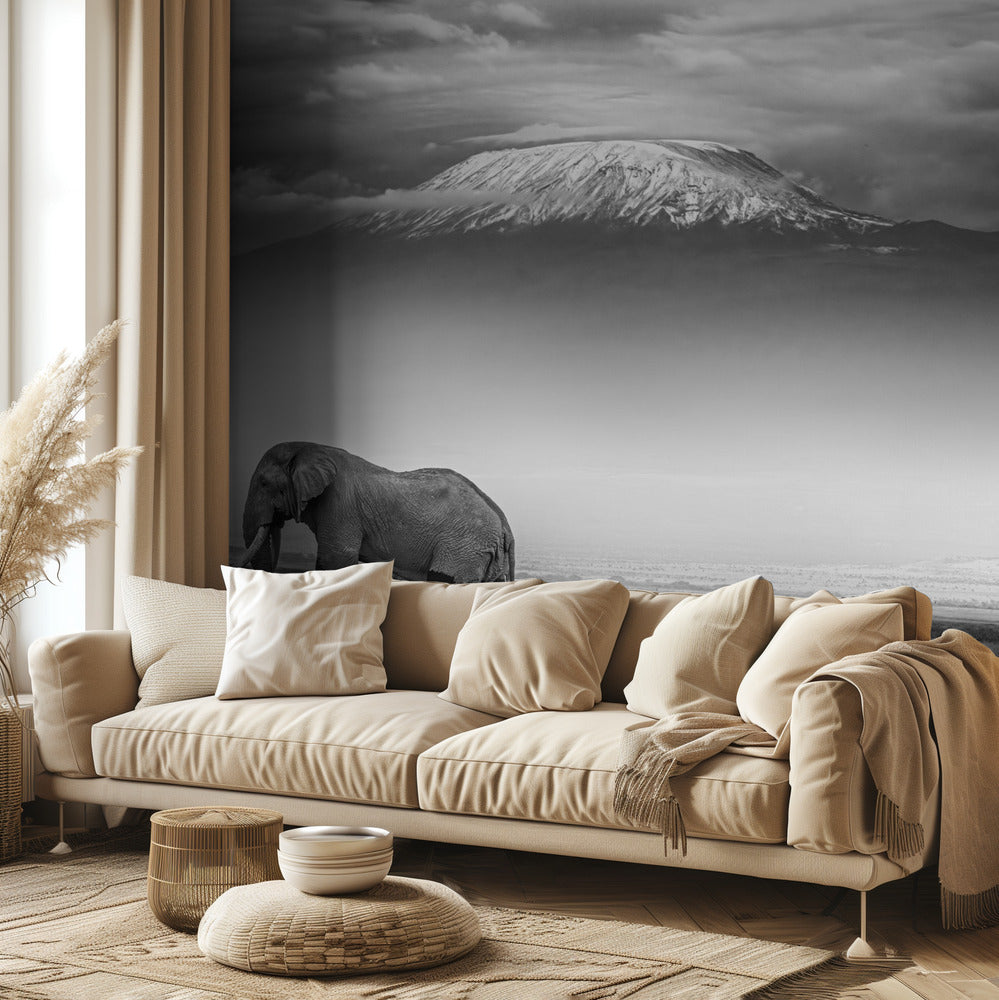 Jättiläisten maa | Valokuvatapetit