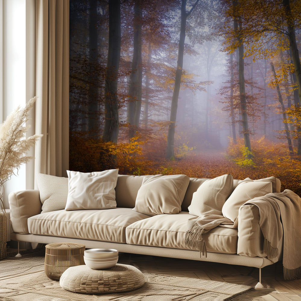 Lokakuun polku | Valokuvatapetit