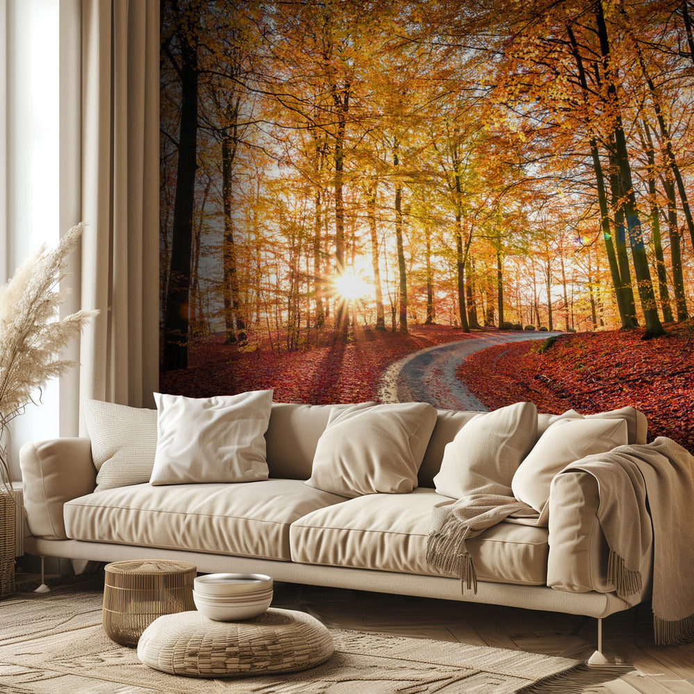 Tie Söderåsenin kansallispuistossa, Ruotsissa | Valokuvatapetit