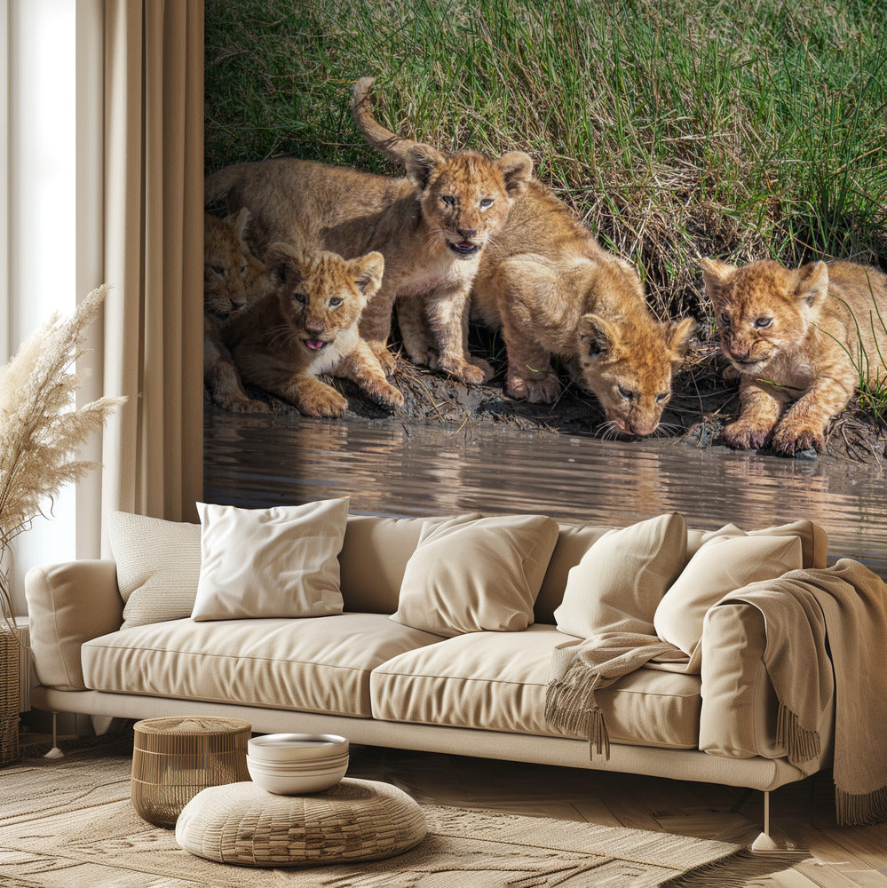 Bändin kokoaminen uudelleen... | Valokuvatapetit