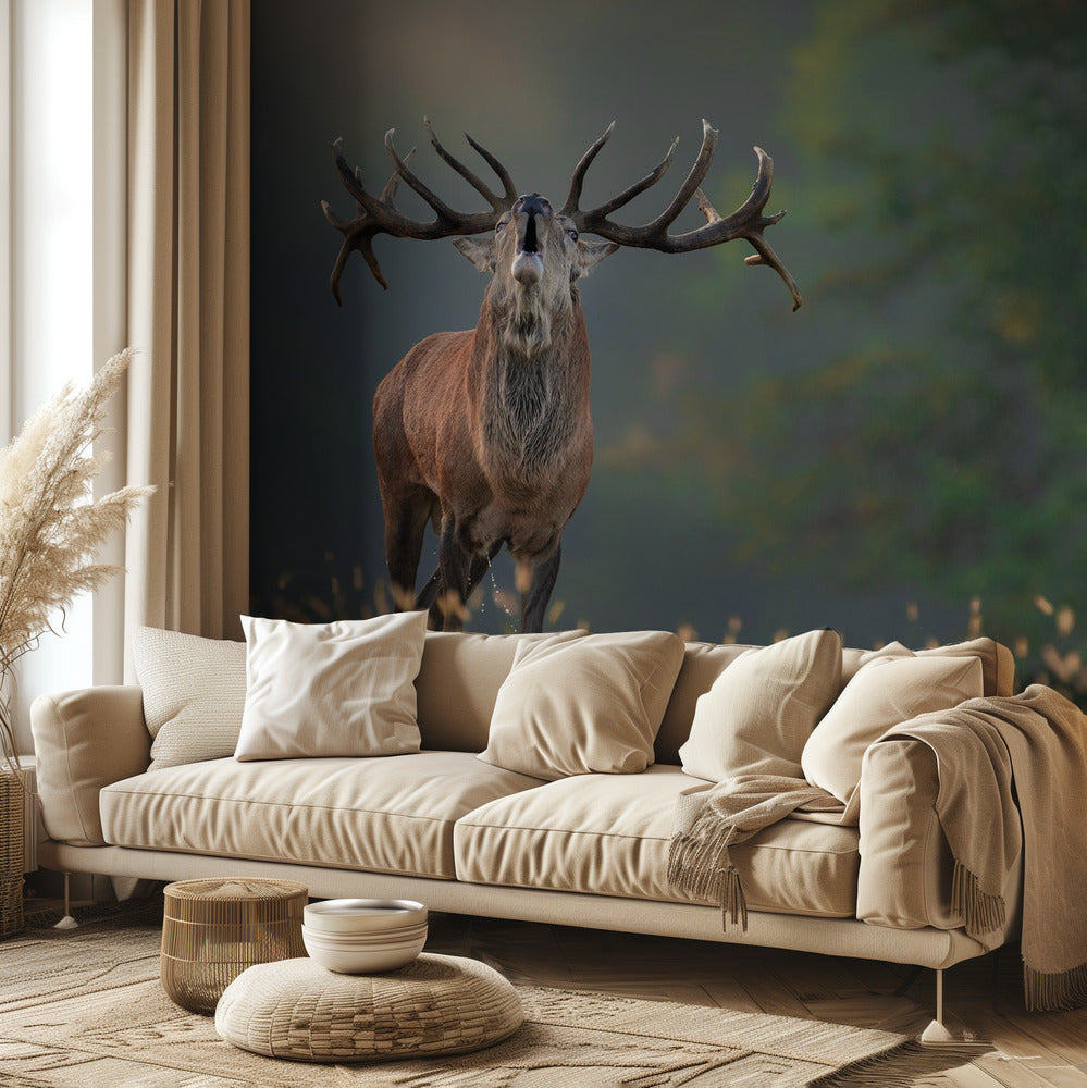 Hirvien häälaulu | Valokuvatapetit