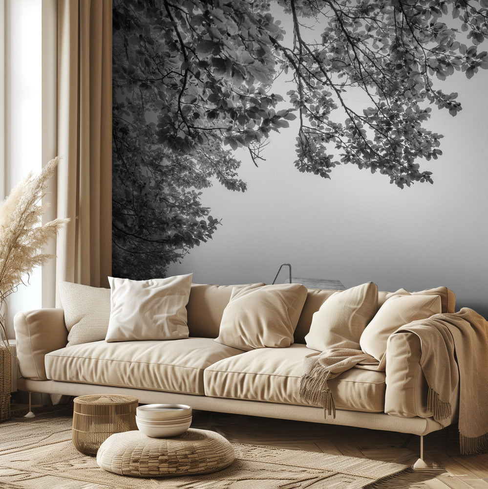 hiljaisuuden ääni | Valokuvatapetit