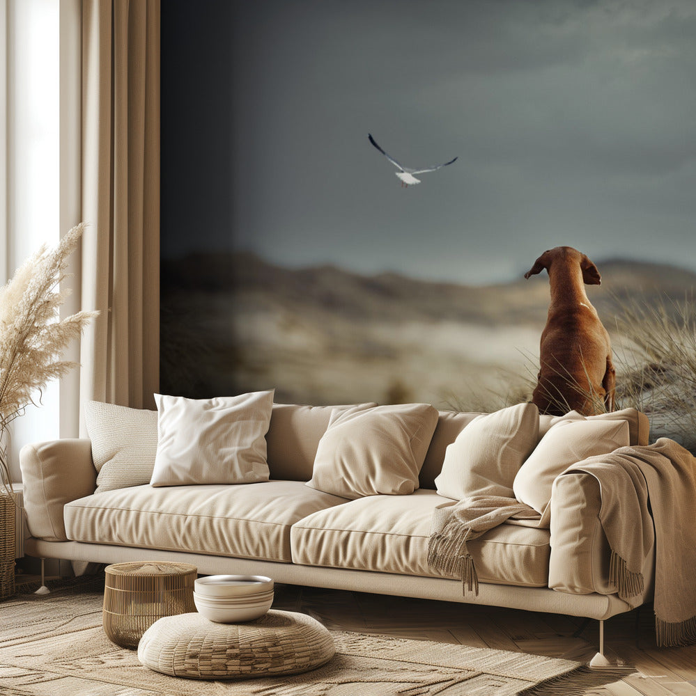 VAPAUDEN (II) | Valokuvatapetit