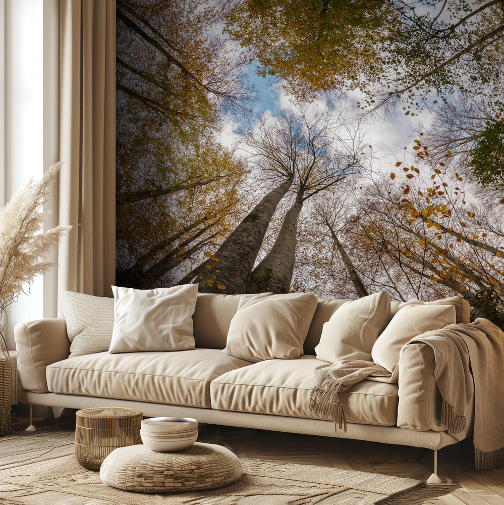 Metsä | Valokuvatapetit