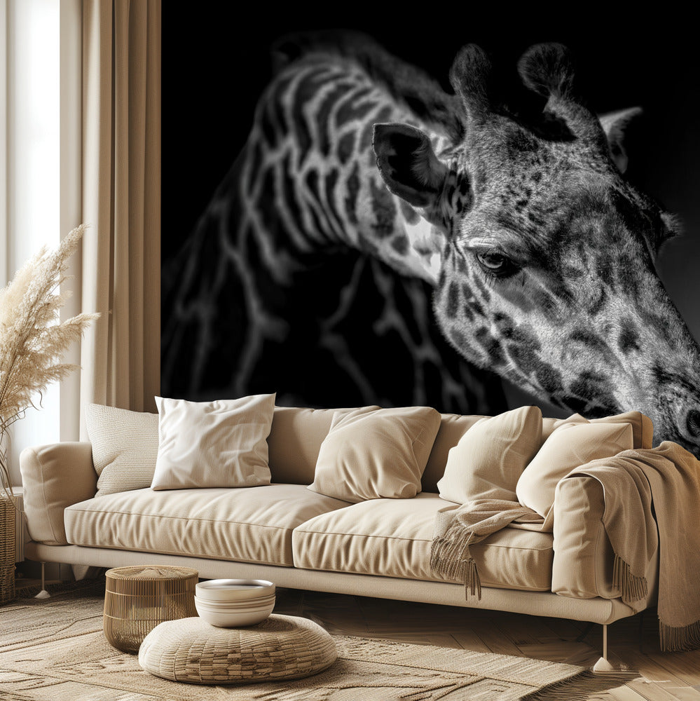 Kirahvi | Valokuvatapetit