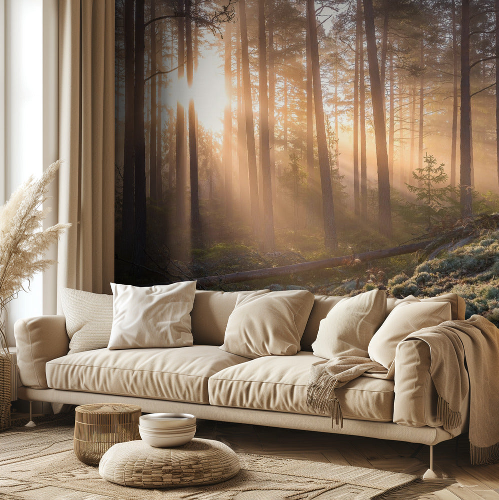 Sumu metsässä, valkoista sammalta etualalla | Valokuvatapetit