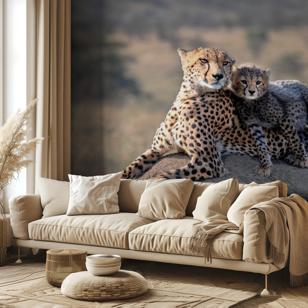 Gepardi ja kuppi! Valokuvatapetit