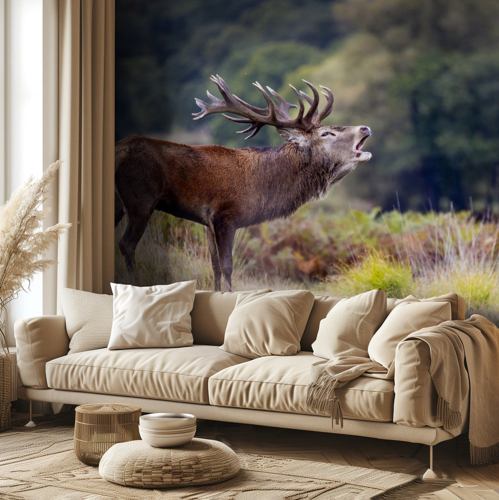 The scream of the deer | Wallpaper