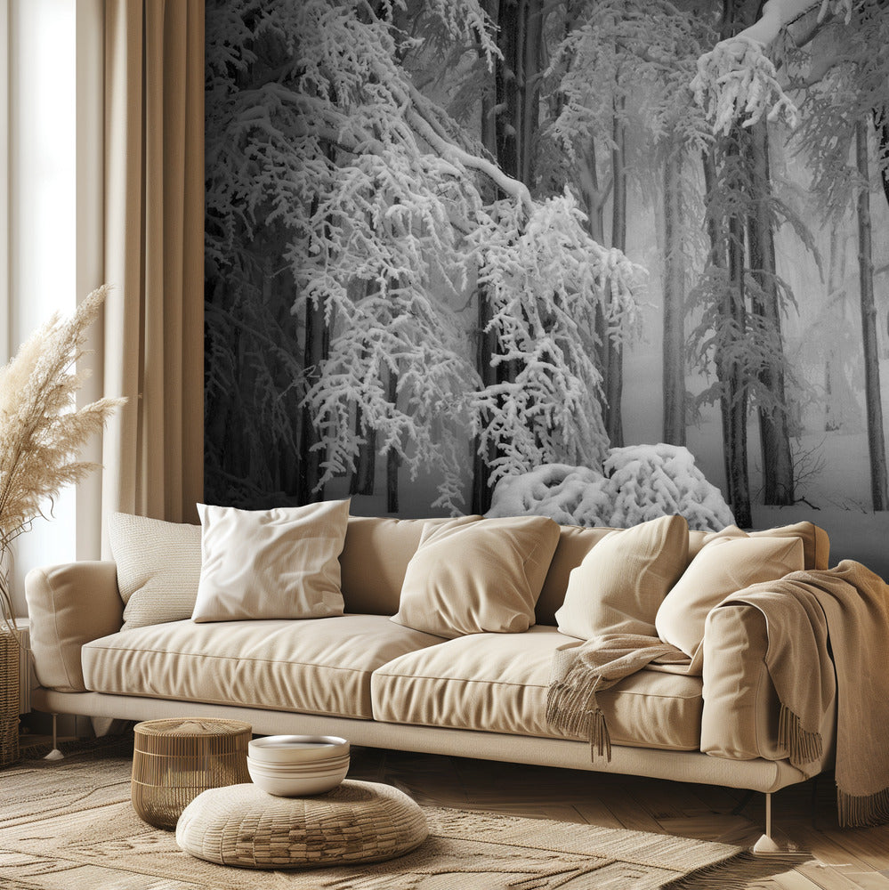 Täydellinen talvi | Valokuvatapetit