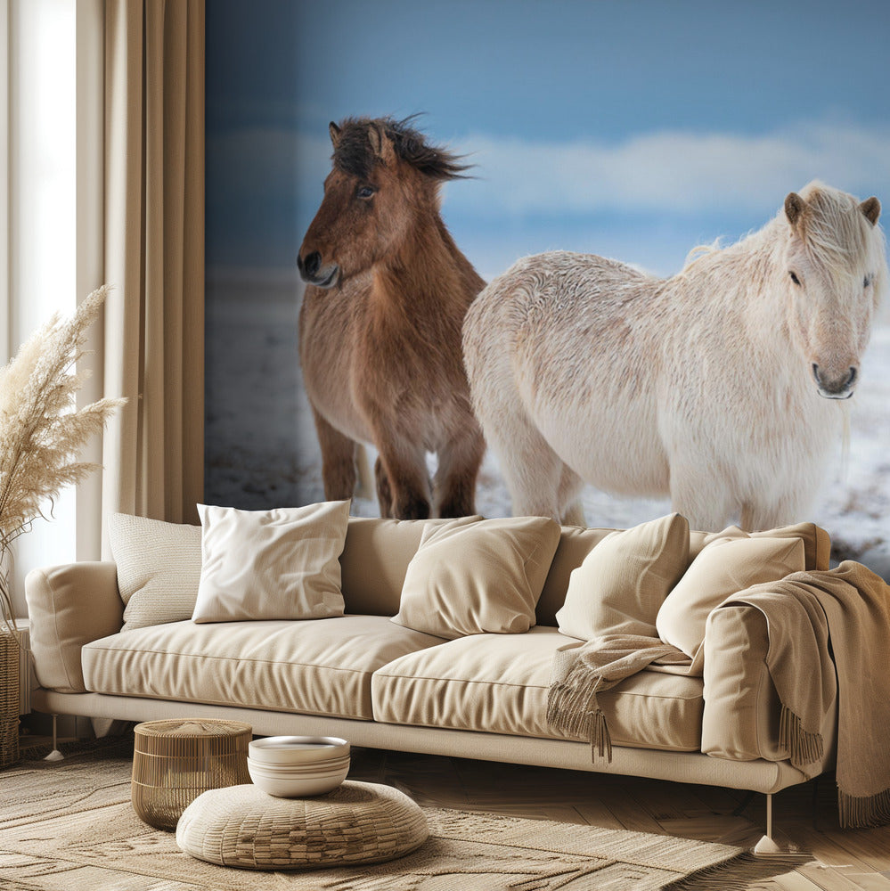 VELI S | Valokuvatapetit