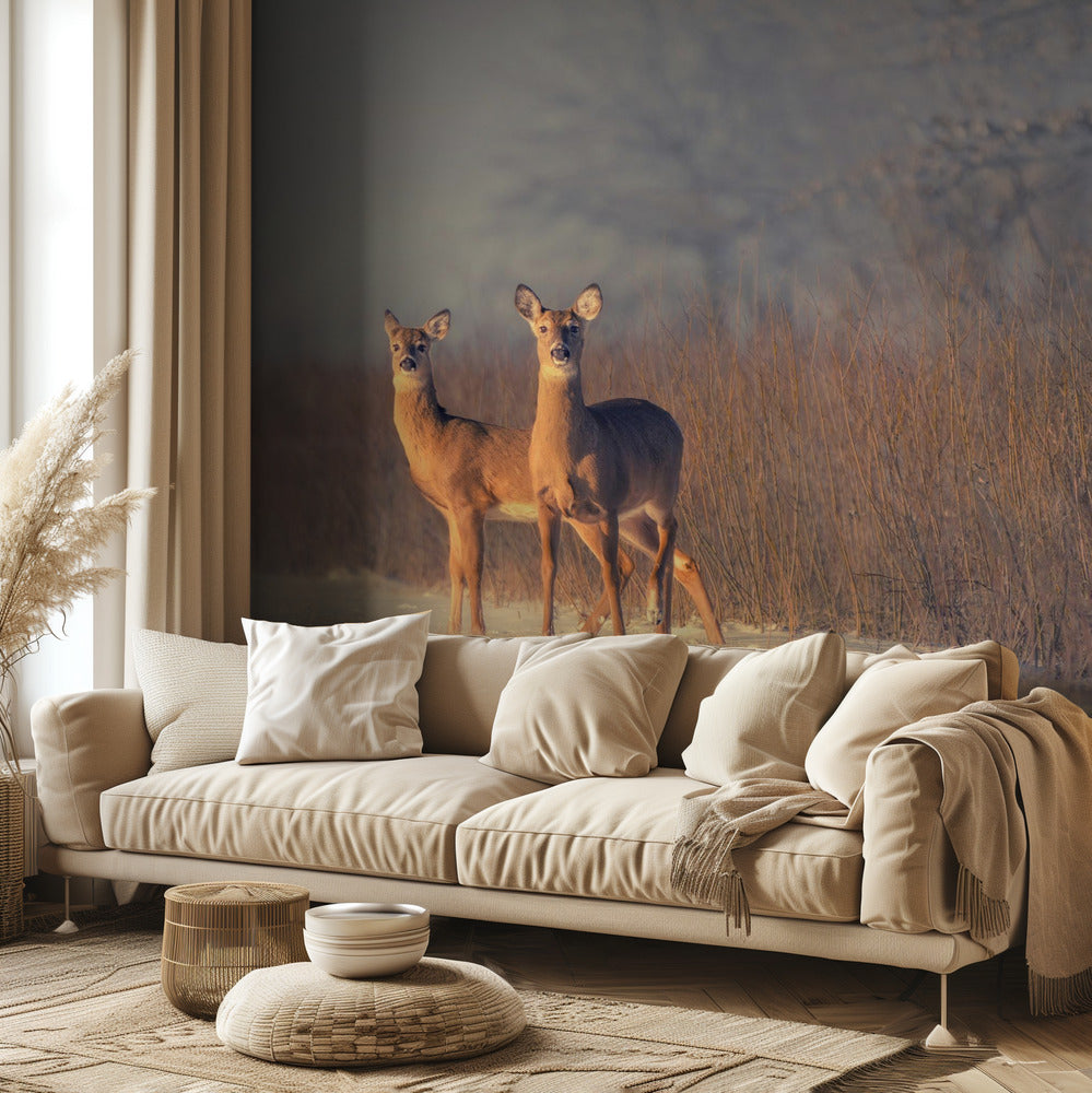 Three Deer | Wallpaper