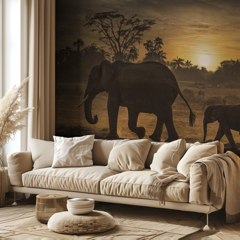 Seuraa minua | Valokuvatapetit