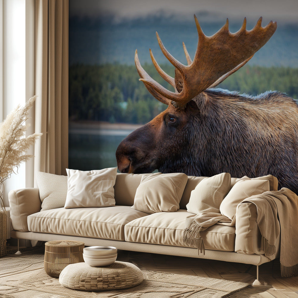 Moose | Wallpaper