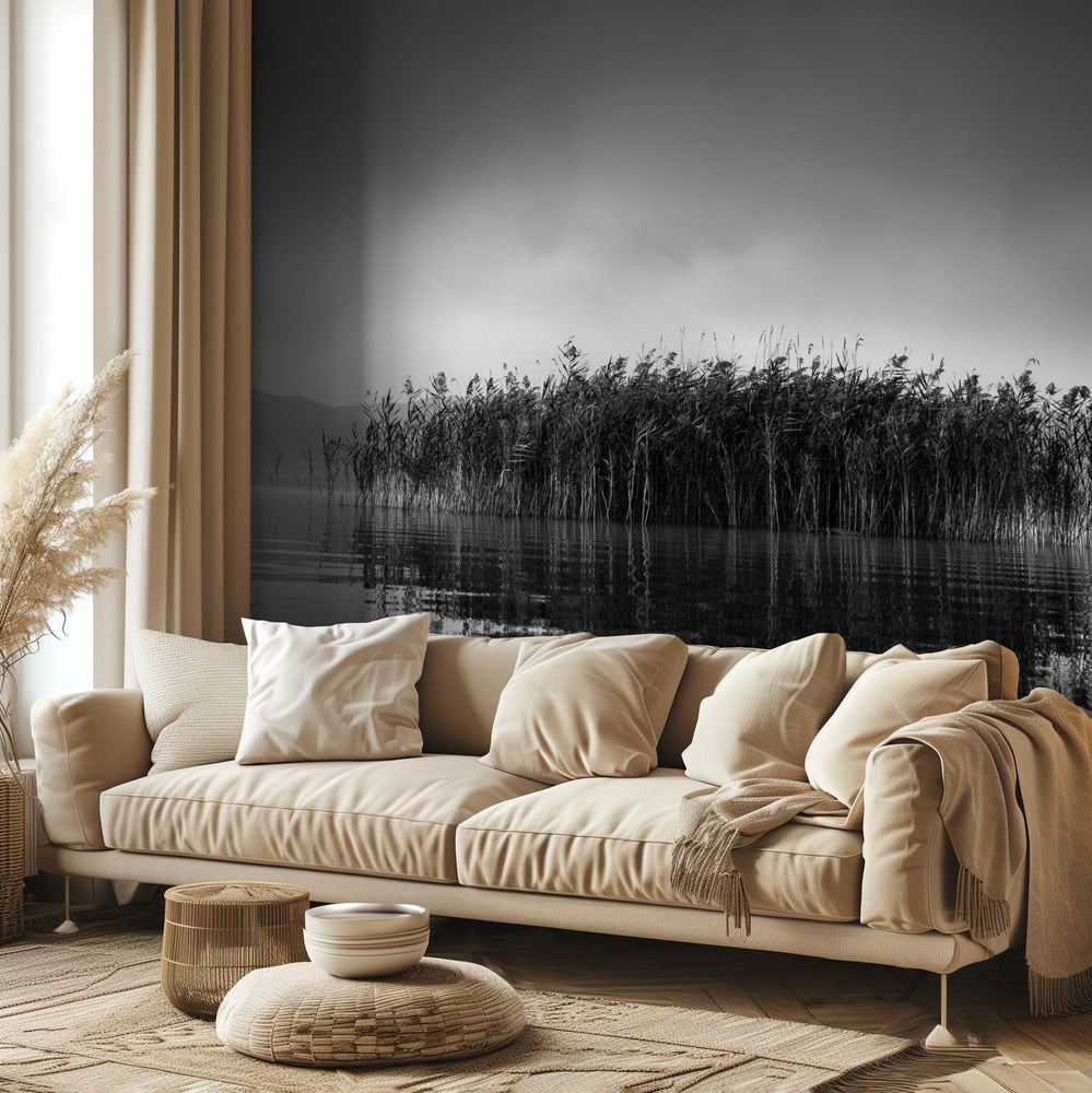 Volvi-järvi VII | Valokuvatapetit