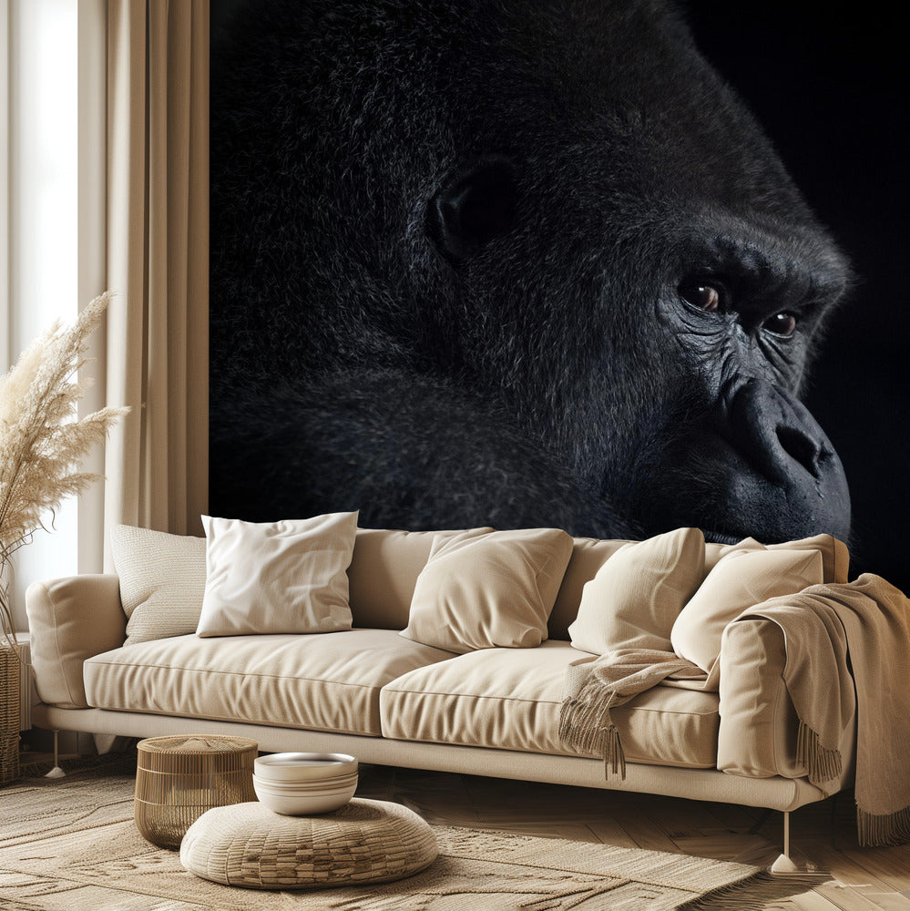 gorillan katse | Valokuvatapetit