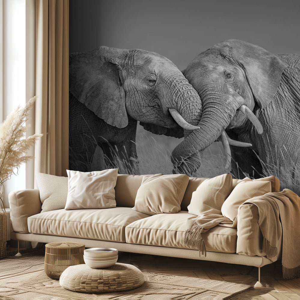Elephant Flight | Wallpaper
