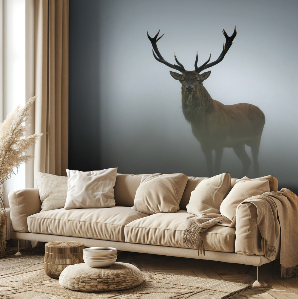 Lyhytkestoisuus | Valokuvatapetit