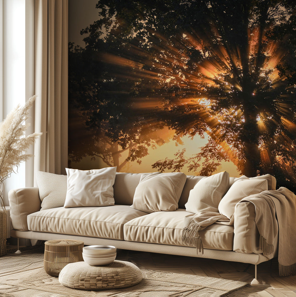 Burning tree | Wallpaper