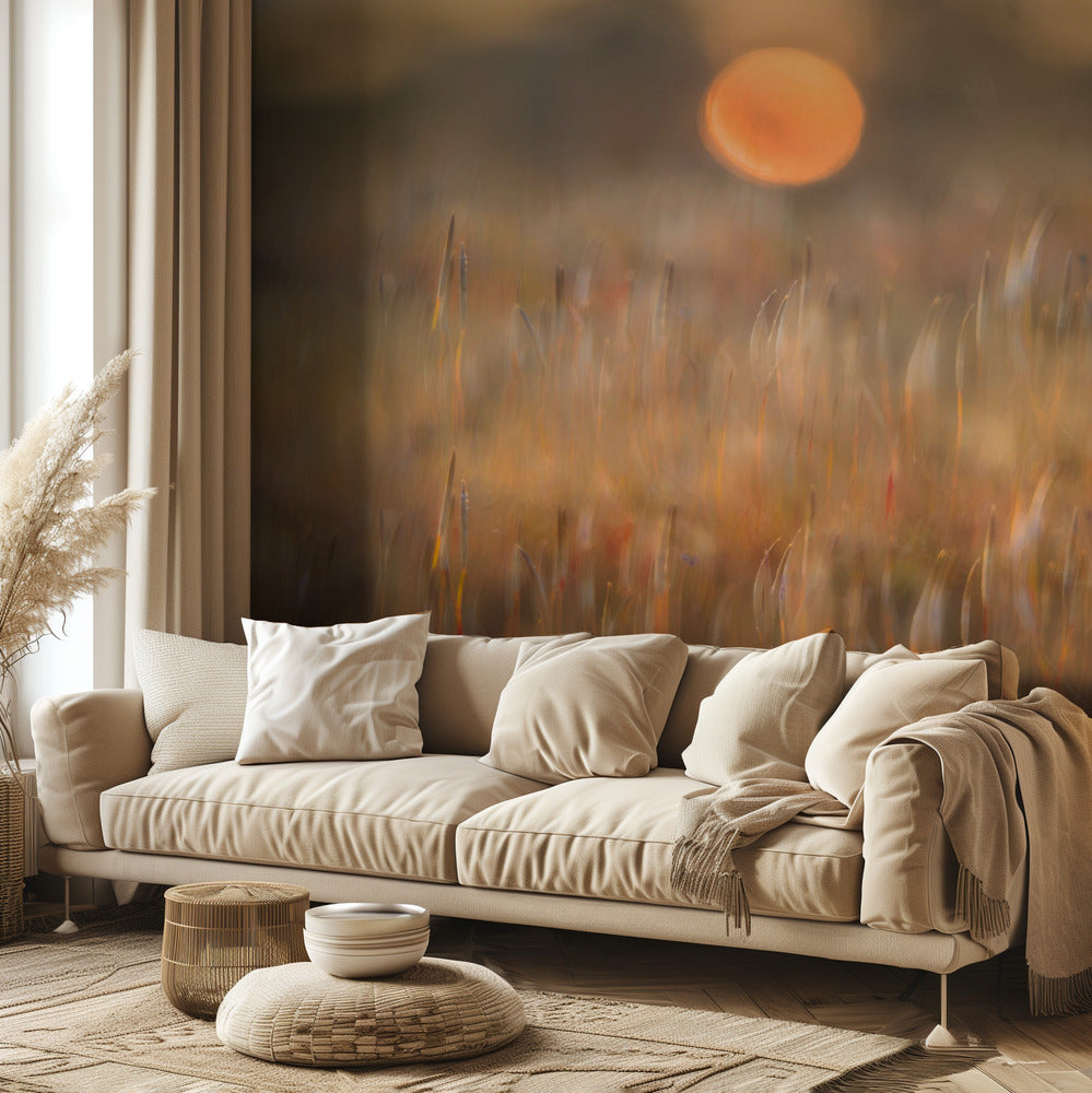 solopgang blandt det ruhårede mos | Fototapeter