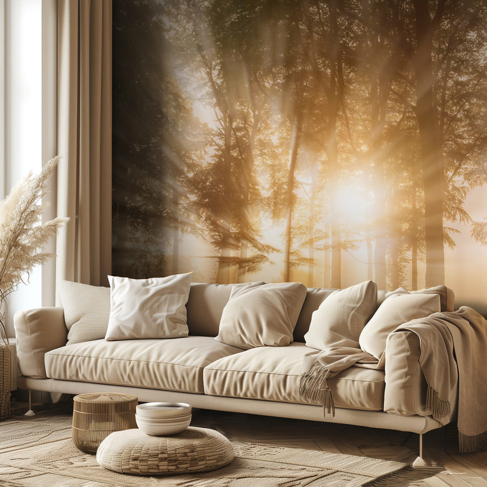 Valon sokaisema | Valokuvatapetit