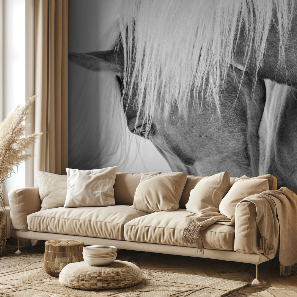 Puolivuoti-muotokuva | Valokuvatapetit