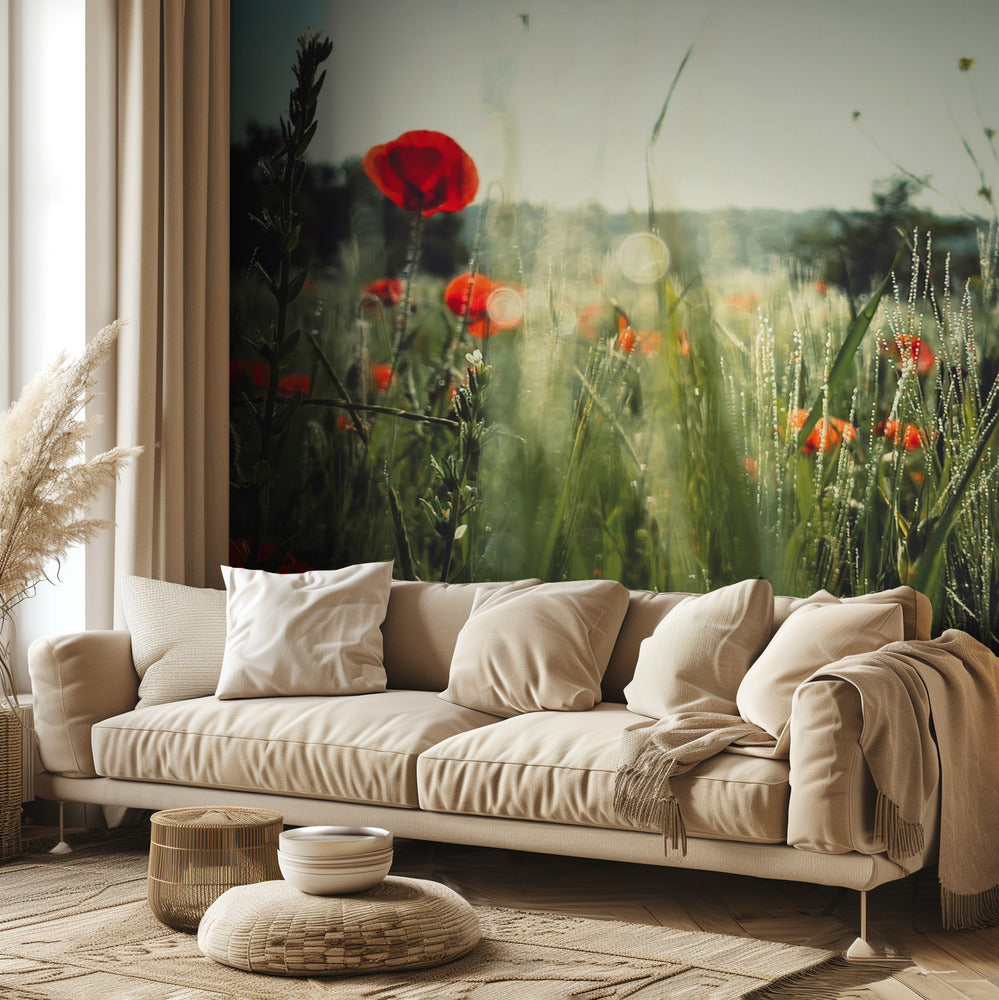 Kentän henki | Valokuvatapetit