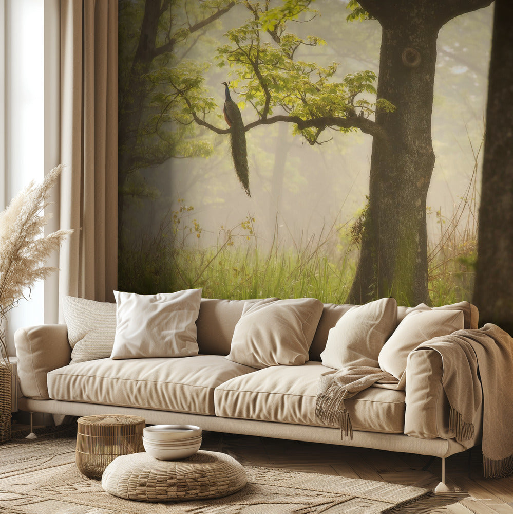 Pavone | Carta da Parati Fotografica