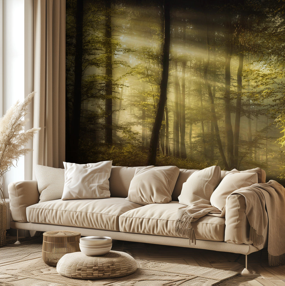 Mattina autunnale | Carta da Parati Fotografica