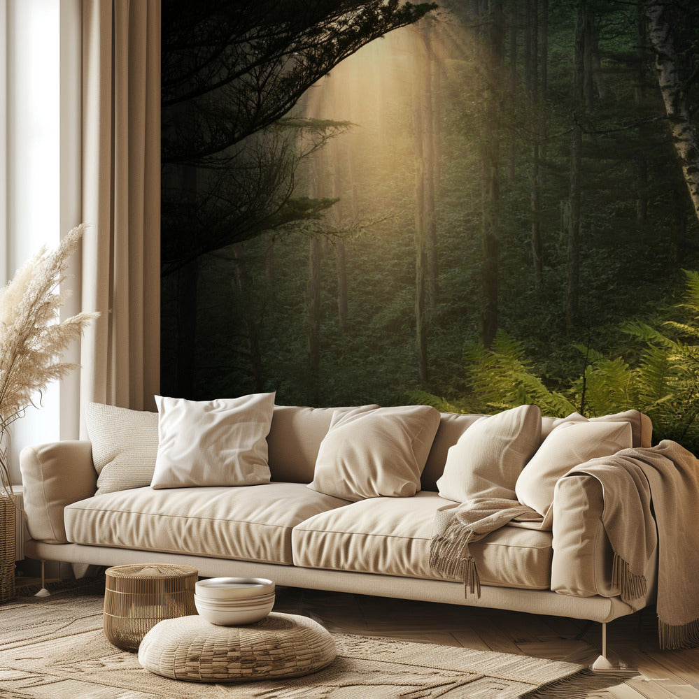 Riflettori. | Carta da Parati Fotografica