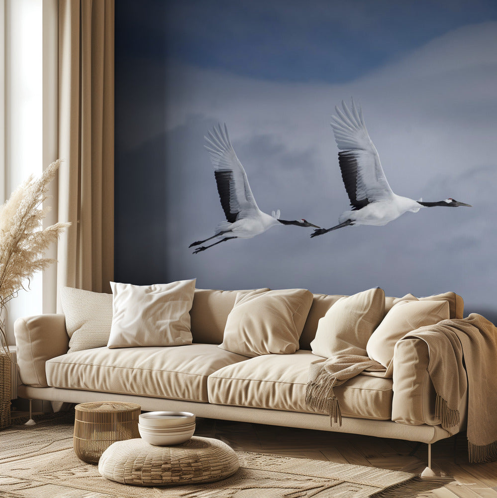 Sandhill toiminnassa | Valokuvatapetit