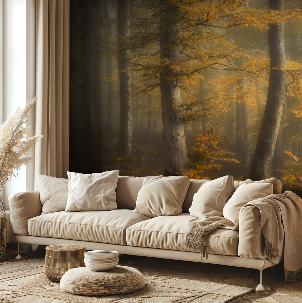Autumn woods | Wallpaper