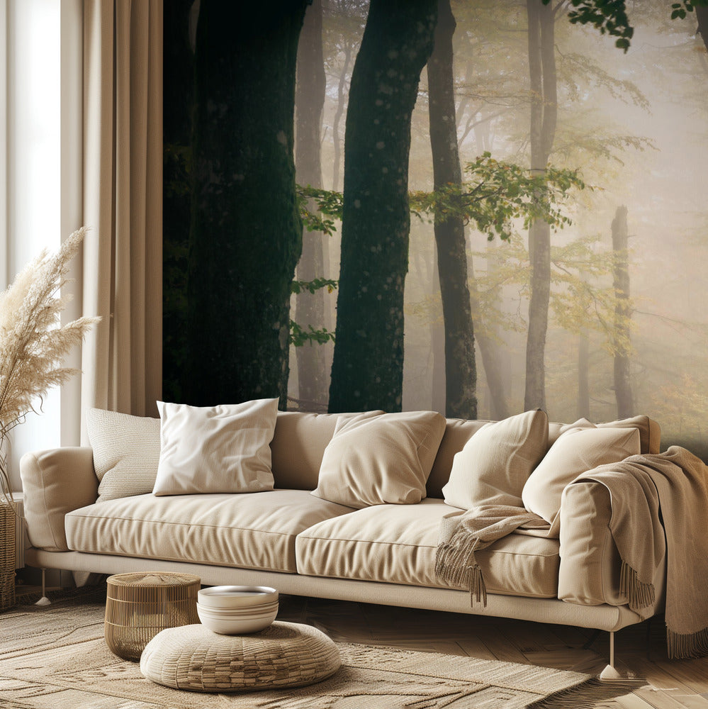 Herbst | Fototapeten