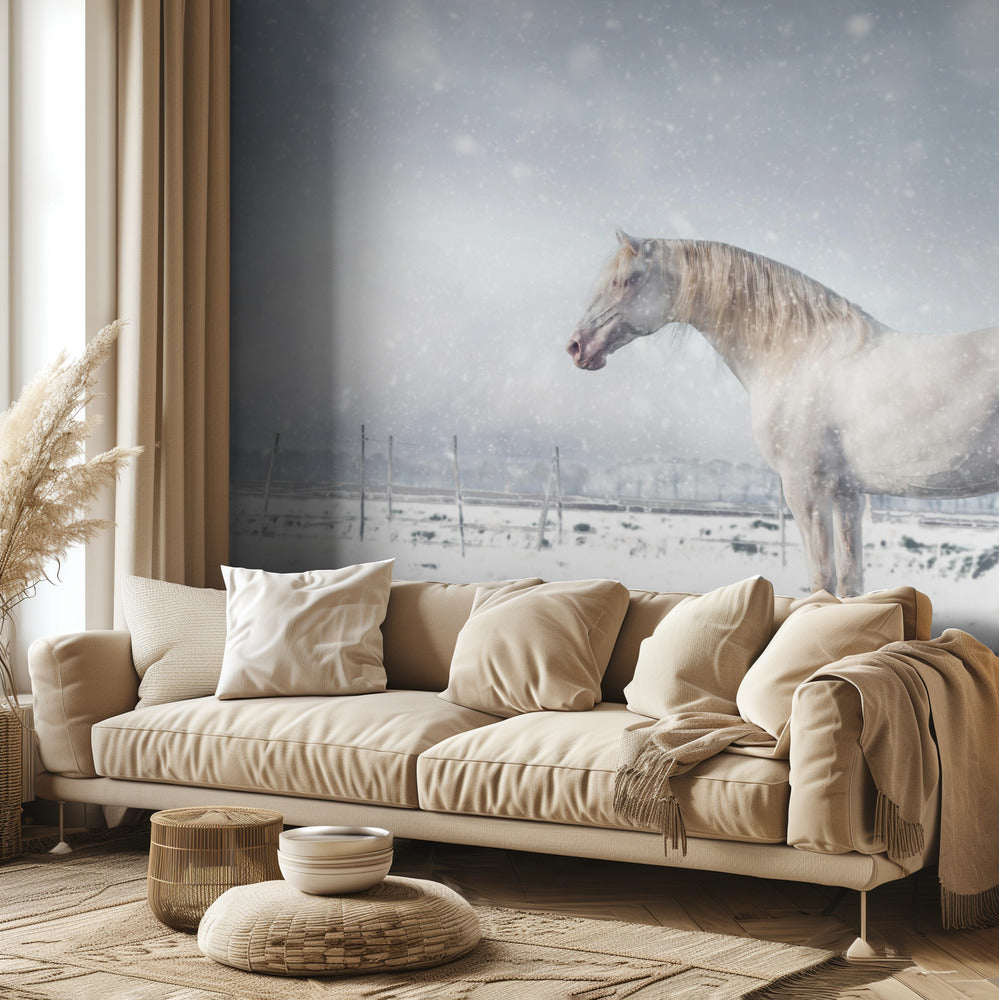 Sataa lunta... | Valokuvatapetit