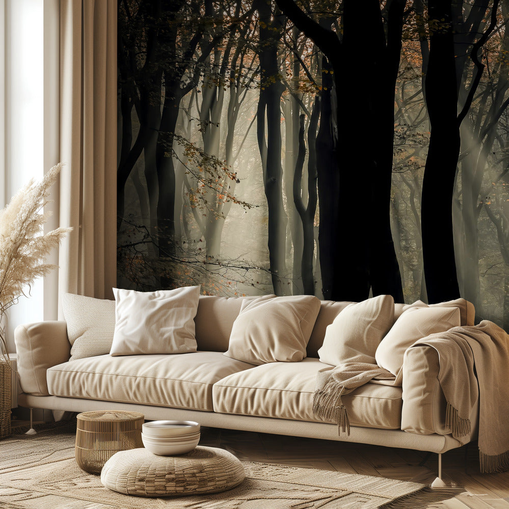 Speulderbos | Fototapeten