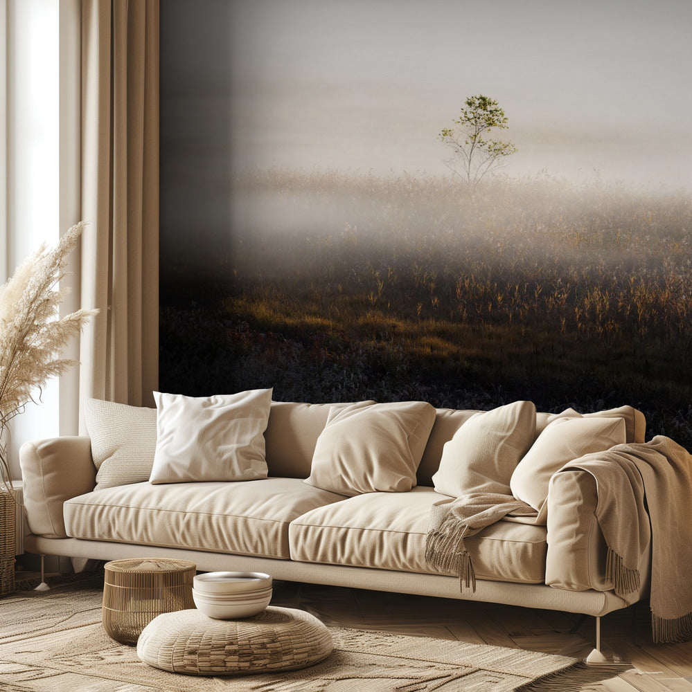 Tempo speciale | Carta da Parati Fotografica