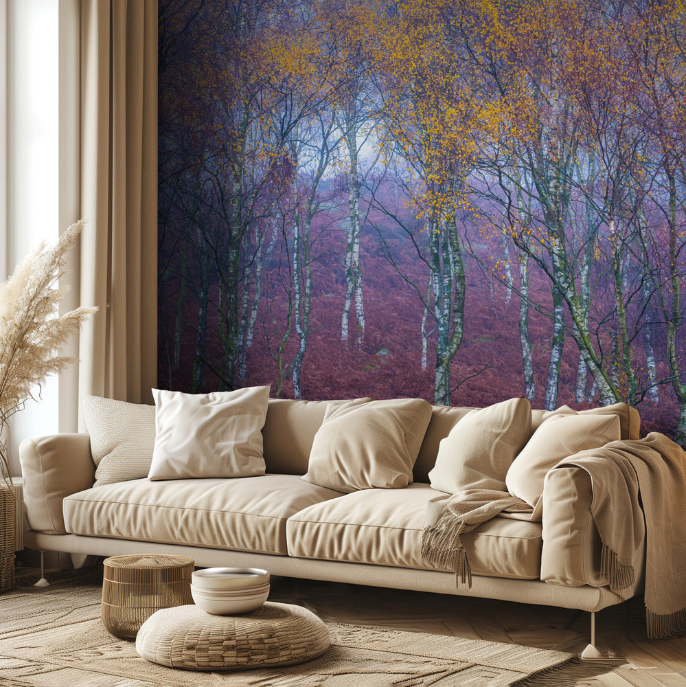 Ohne Titel | Fototapeten