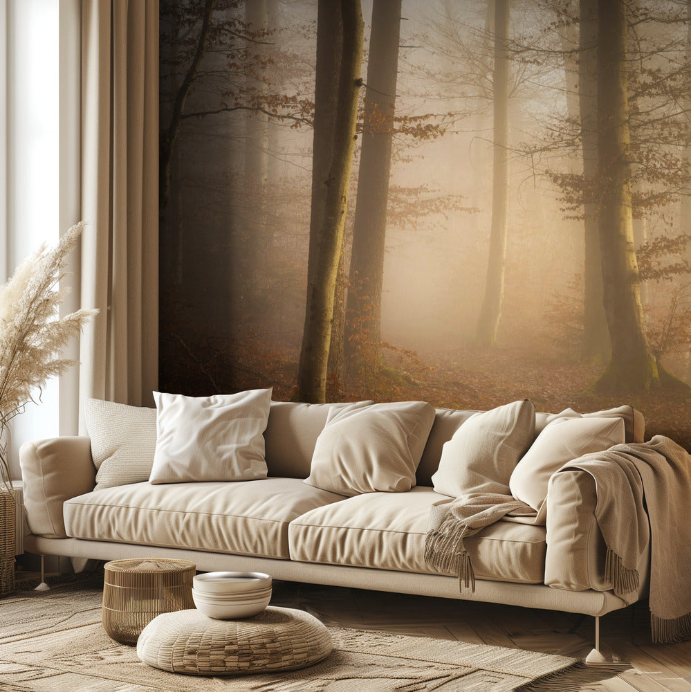 Novemberwald | Fototapeten