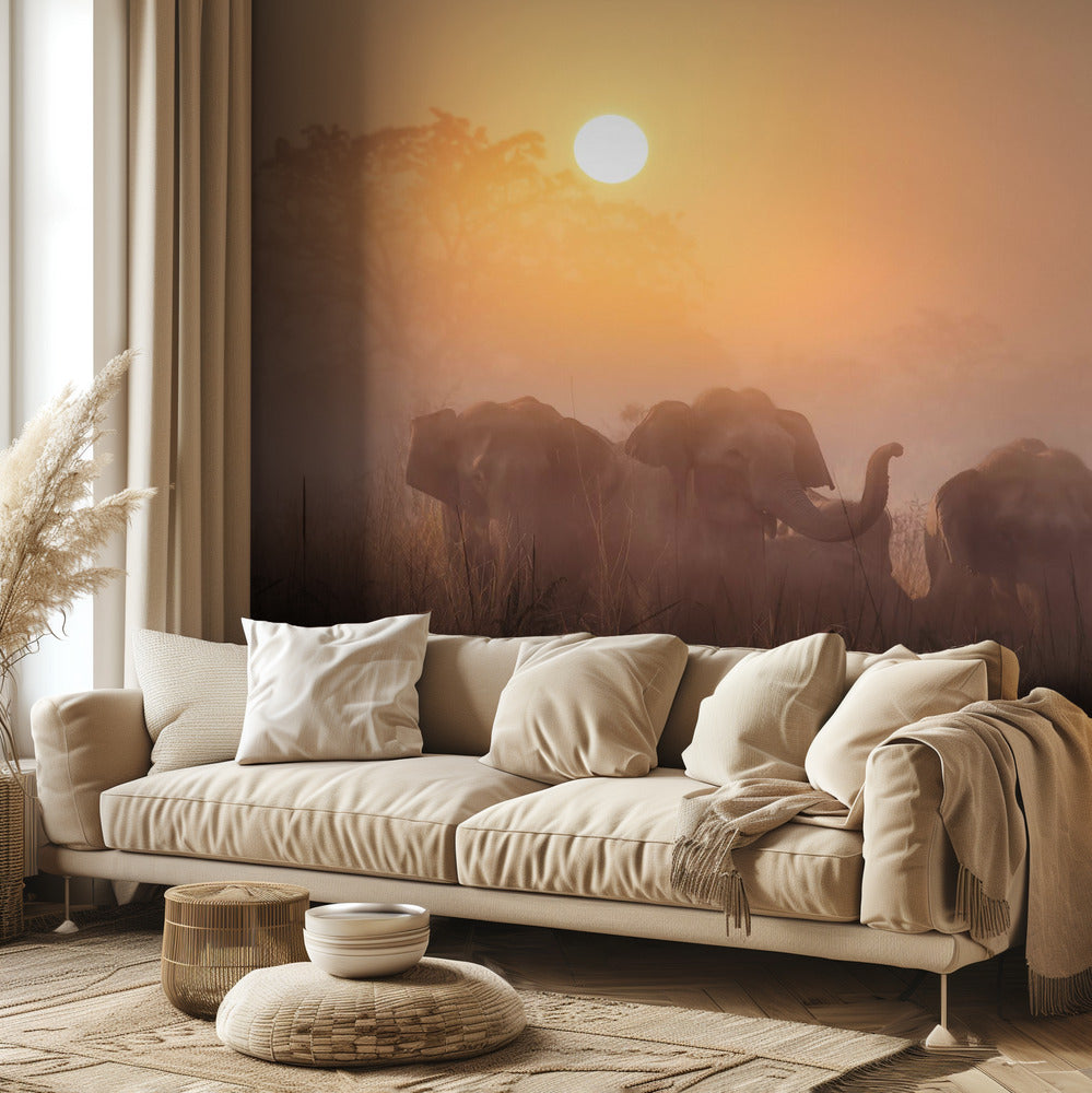 Aamut | Valokuvatapetit