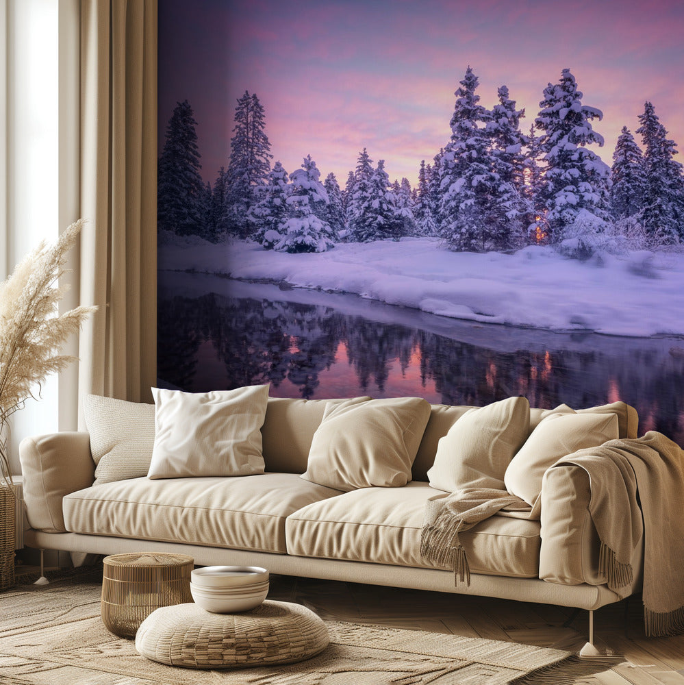 Mattina nella foresta | Carta da Parati Fotografica