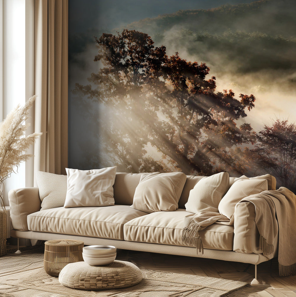 raggio di luce | Carta da Parati Fotografica