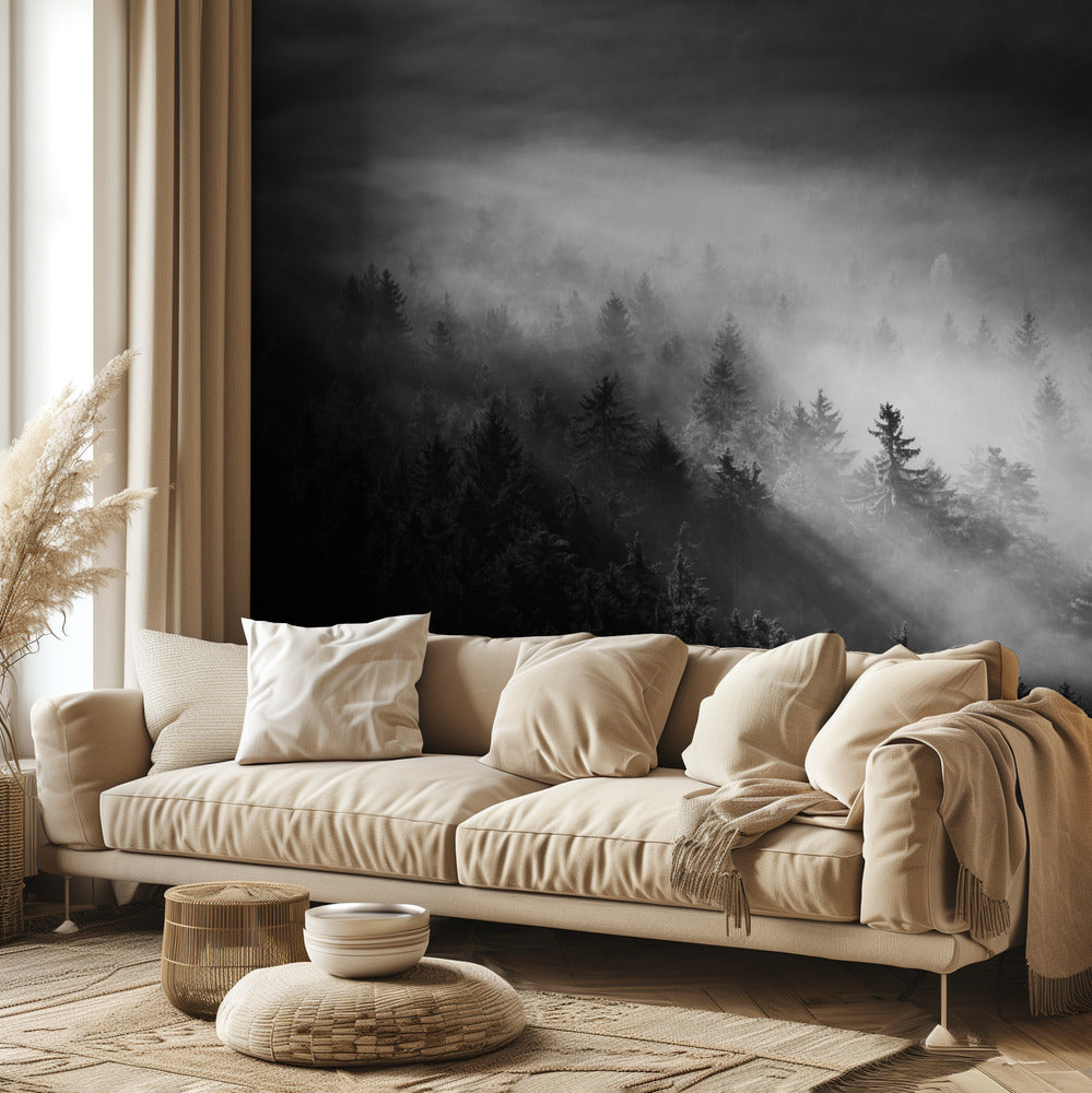 Sumuinen | Valokuvatapetit